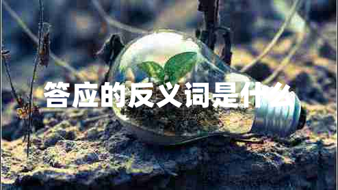 答應(yīng)的反義詞是什么 答應(yīng)的反義詞是什么