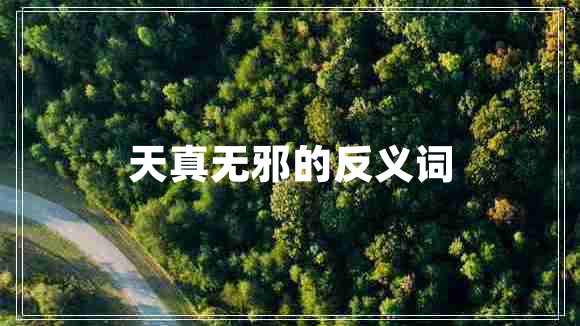 天真無邪的反義詞 天真無邪的反義詞