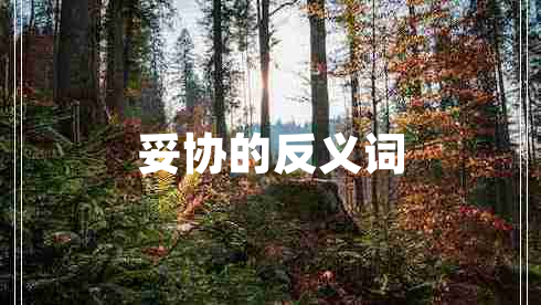 妥協(xié)的反義詞 妥協(xié)的反義詞