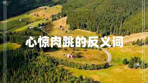 心驚肉跳的反義詞