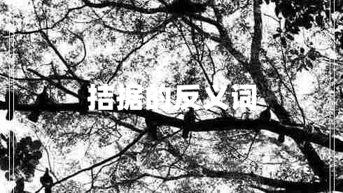 拮據(jù)的反義詞