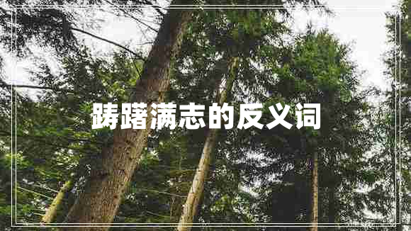 躊躇滿志的反義詞