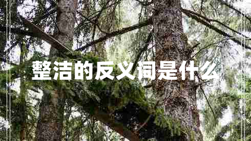 整潔的反義詞是什么 整潔的反義詞是什么