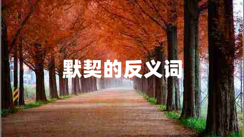 默契的反義詞 默契的反義詞