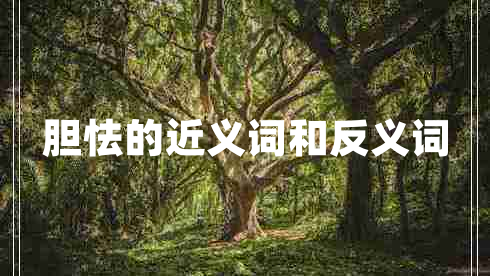 膽怯的近義詞和反義詞