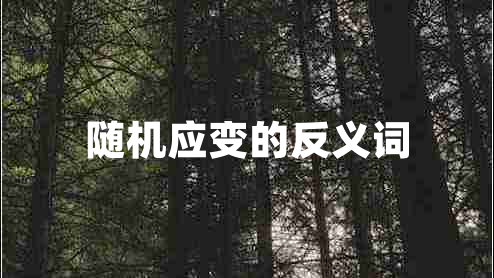 隨機(jī)應(yīng)變的反義詞