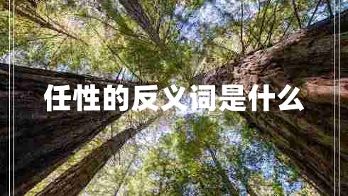 任性的反義詞是什么 任性的反義詞是什么