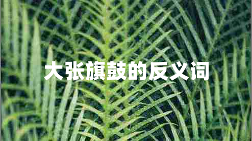 大張旗鼓的反義詞