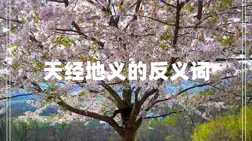 天經(jīng)地義的反義詞 天經(jīng)地義的反義詞