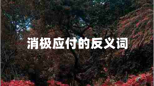 消極應(yīng)付的反義詞