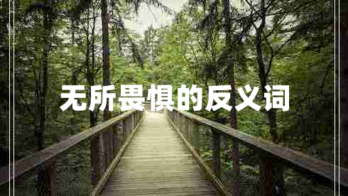 無所畏懼的反義詞