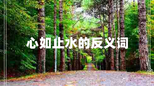 心如止水的反義詞 心如止水的反義詞