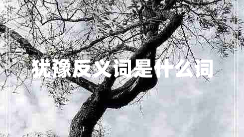 猶豫反義詞是什么詞