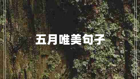 五月唯美句子 五月唯美句子