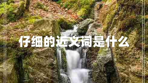 仔細(xì)的近義詞是什么