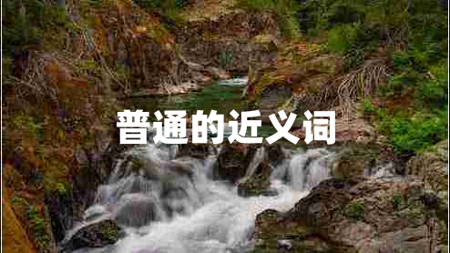 普通的近義詞 普通的近義詞