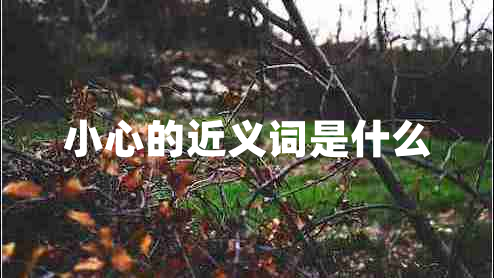 小心的近義詞是什么 小心的近義詞是什么