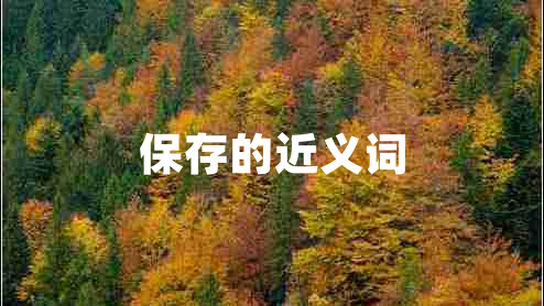 保存的近義詞 保存的近義詞