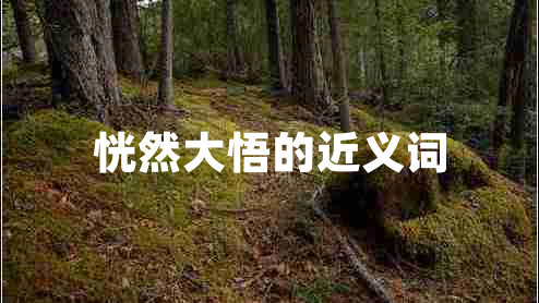 恍然大悟的近義詞