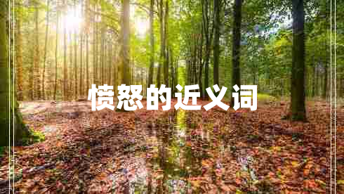 憤怒的近義詞 憤怒的近義詞