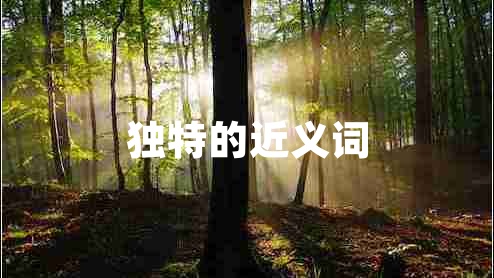 獨(dú)特的近義詞