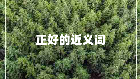 正好的近義詞