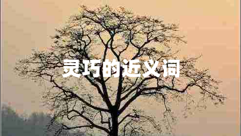 靈巧的近義詞 靈巧的近義詞