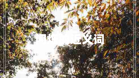 閃爍的近義詞 閃爍的近義詞