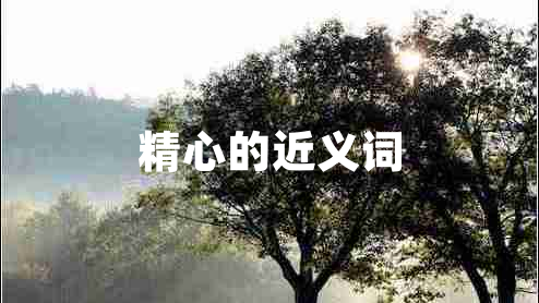 精心的近義詞 精心的近義詞