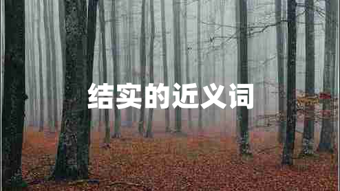 結(jié)實的近義詞