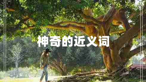 神奇的近義詞