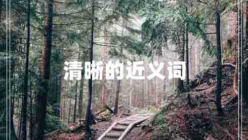 清晰的近義詞 清晰的近義詞