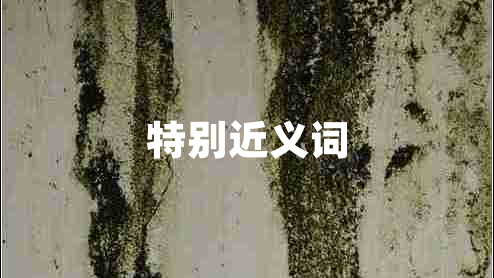 特別近義詞 特別近義詞