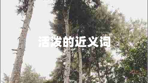 活潑的近義詞 活潑的近義詞