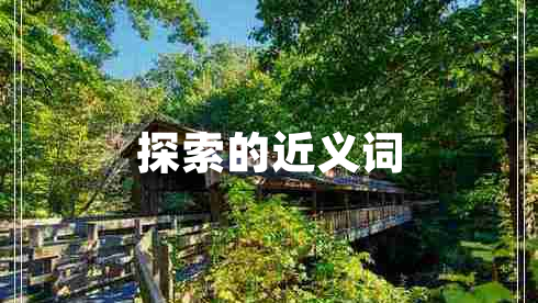 探索的近義詞