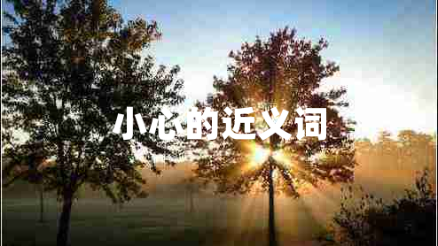 小心的近義詞 小心的近義詞