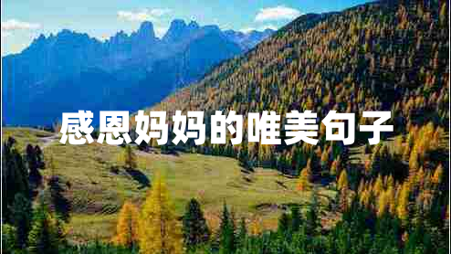 感恩媽媽的唯美句子 感恩媽媽的唯美句子