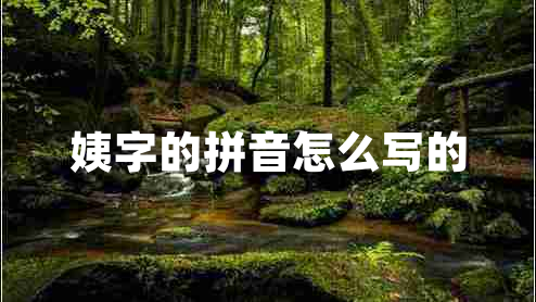 姨字的拼音怎么寫(xiě)的