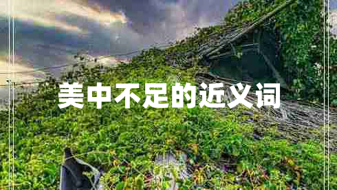 美中不足的近義詞