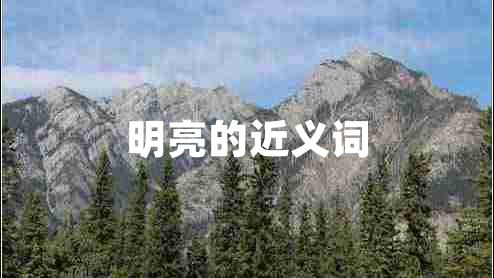 明亮的近義詞