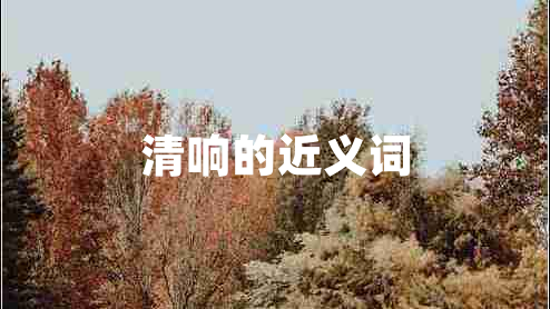 清響的近義詞