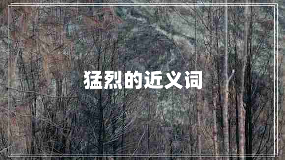 猛烈的近義詞 猛烈的近義詞