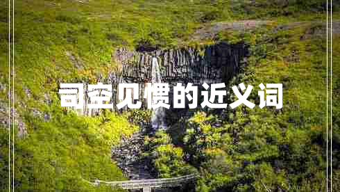 司空見(jiàn)慣的近義詞