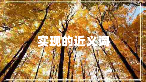 實(shí)現(xiàn)的近義詞