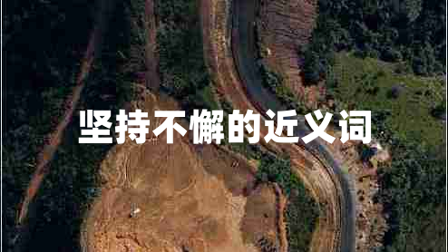 堅持不懈的近義詞