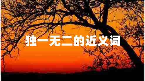 獨(dú)一無二的近義詞