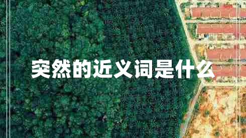 突然的近義詞是什么 突然的近義詞是什么