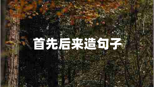 首先后來造句子 首先后來造句子