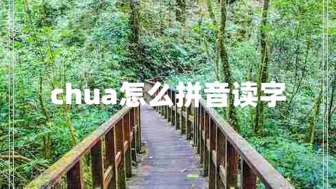 chua怎么拼音讀字 chua怎么拼音讀字