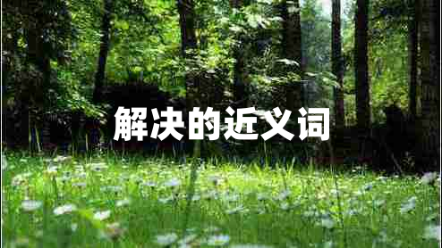 解決的近義詞 解決的近義詞
